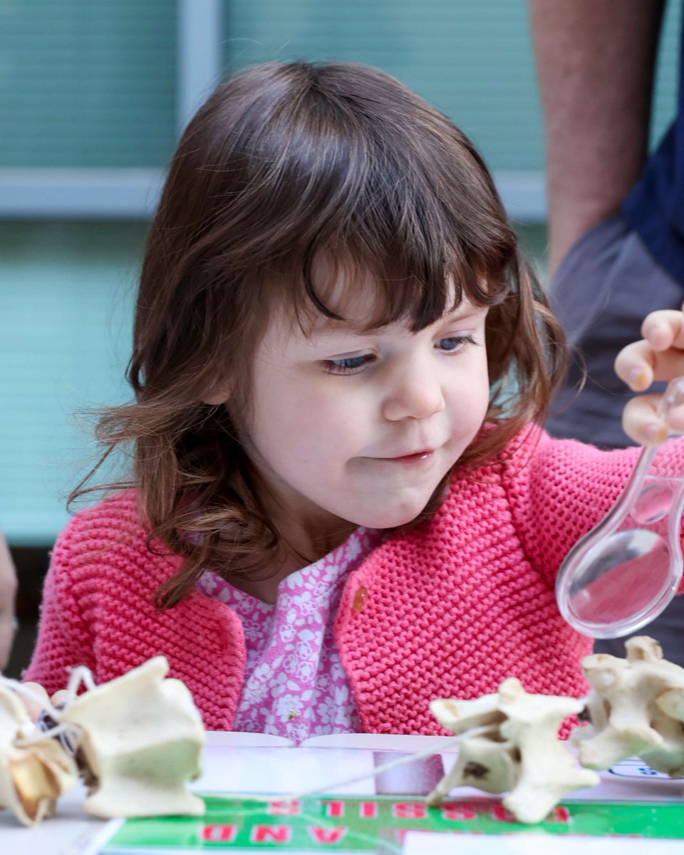 KCSOS's tweet image. We are thrilled to welcome families back to STEAM on the Street Festival, taking place on Saturday, October 25, from 9:00 a.m. to 11:30 a.m. Bring the whole family for an exciting day filled with hands-on activities all centered around STEAM! Register: tiny.cc/steamonstreets…