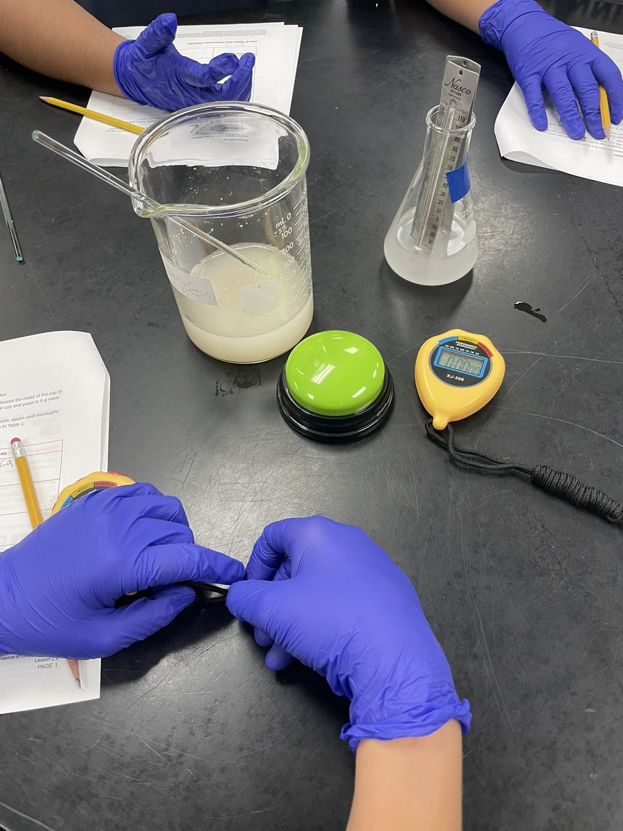SoniaLagleder's tweet image. 🔬✨ Excited to dive into our chemical reactions lab investigation today! 🌟 We’ll explore fascinating reactions, observe changes in color and temperature, and uncover the mysteries of chemical changes . Stay tuned for updates! #LabInvestigation #ScienceInAction 🔍🥼