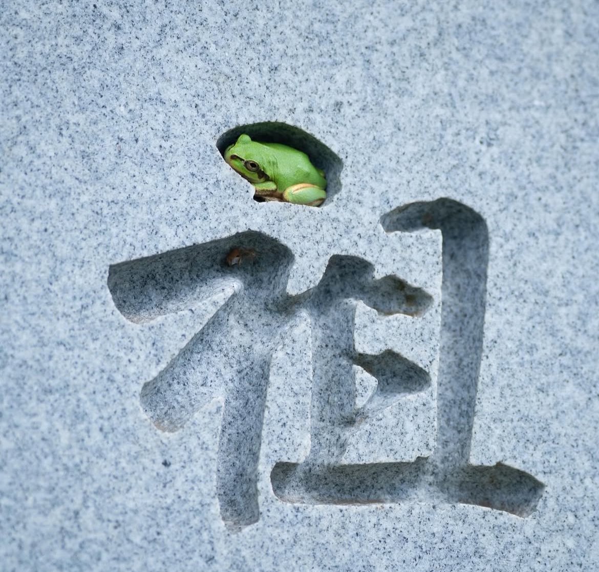 omgaww's tweet image. this hole was made for me