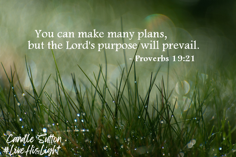 There's a big difference between asking God to guide us in our planning and asking God to bless the plan we've already determined. Follow God and let Him lead you, then make your plans in accordance with how He leads.

#LiveHisLight #FollowGodsPlan #GodsPurpose