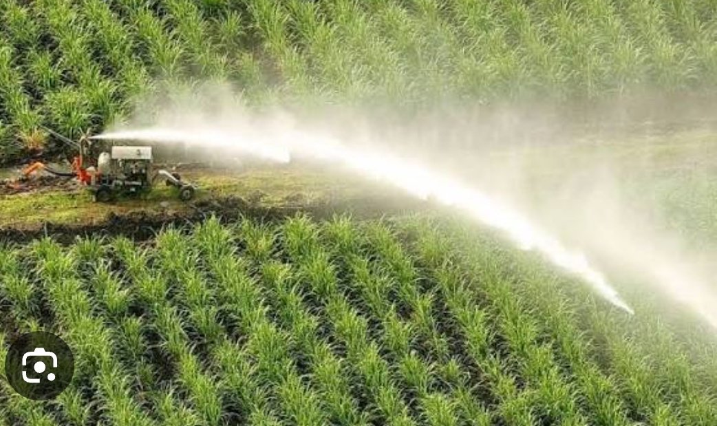¿ Queridos cañicultores a lo serio piensan que el cultivo de la caña protege y es un gran ejemplo de cuidado de la biodiversidad ? Más cuando se quema cotidianamente,  O cuando vierten contaminantes a los riachuelos, O cuando irrespetan los humedales y a la franja protectora de