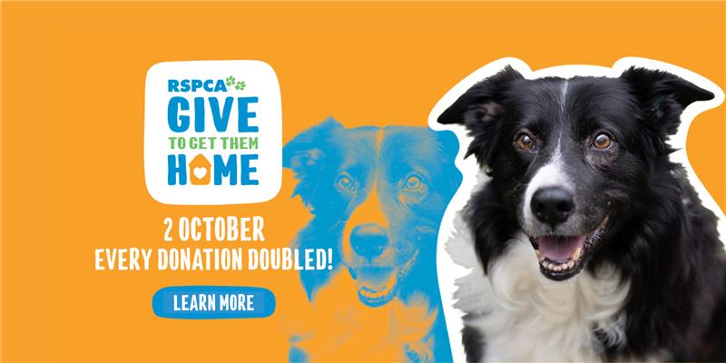 RSPCA Victoria tweet media