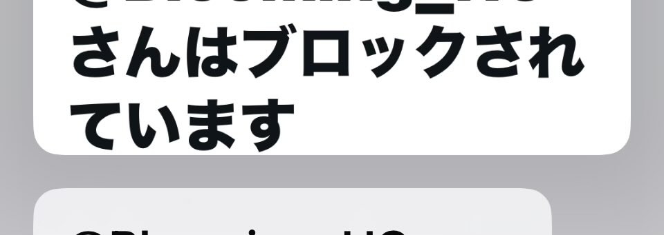 Fu77_m10's tweet photo. 広告ではないけど、見たくない分野の投稿やリツイートだからブロックしてるのに表示されるの、なんとかしてほしい。 https://t.co/jFArYIAn8Q