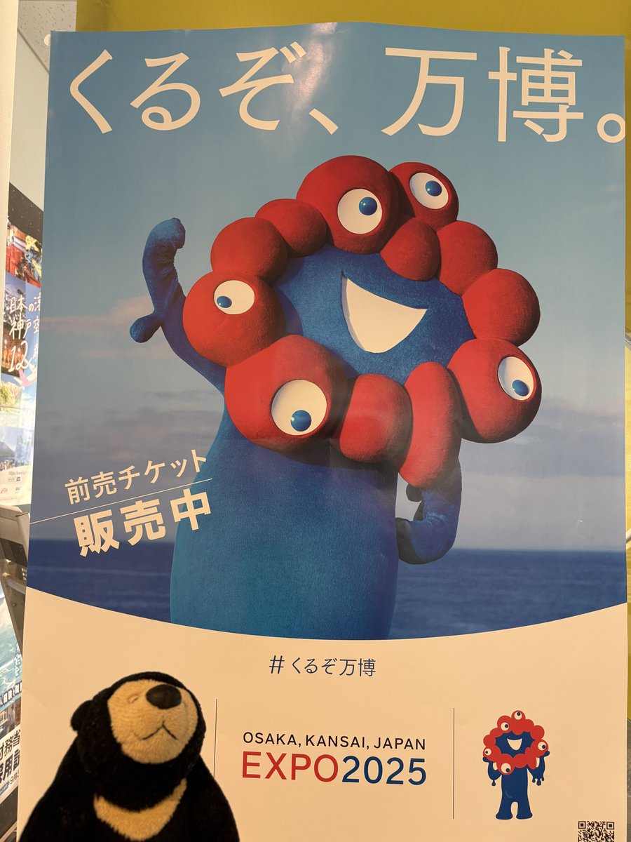 きんちゃん きんちゃんMk2 (@toshiokinawa777) / X