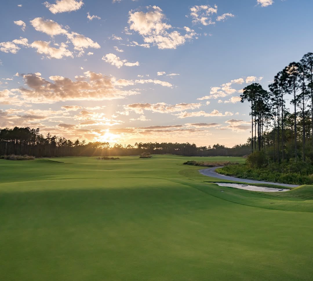 Love Golf Design tweet media