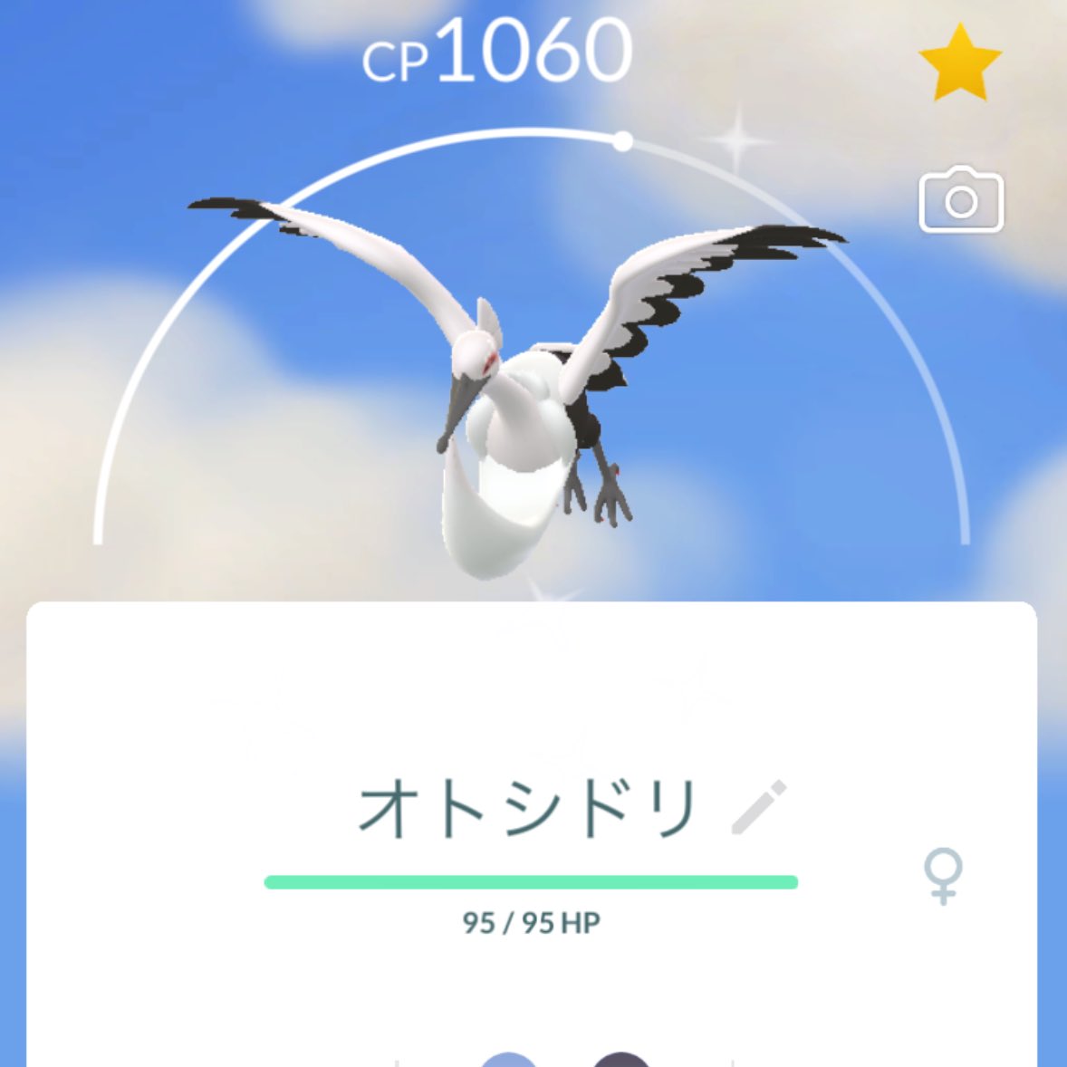 きらりん！！