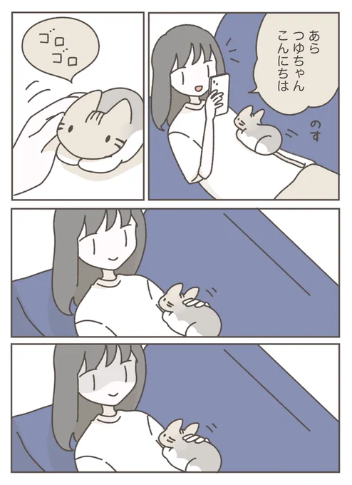 戻ってきたら違うところで寝てました( ;  ; ) 