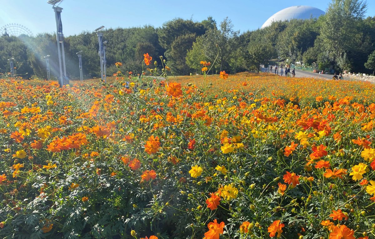 10月おはようございます
秋突入ですね🍁

今月は各学校、後期試験があったりオーディション対策と盛りだくさんです！
秋のお出かけも楽しみ

今年、仮装するか迷い中…👻🎃