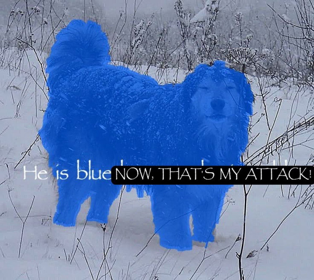 ˚.🫧⋆ up and down of yumetwt ! ‹𝟹 (@yumes_arecrazy) on Twitter photo 