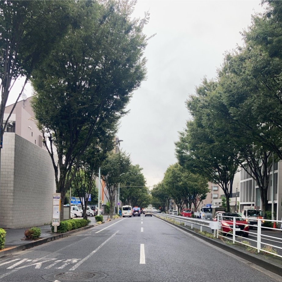 おはようございます！
☔ #代々木上原 は20℃、今日は雨ですね。

10月です！🍁 10～12月は #家事代行 のご依頼が増えるので、お客様のために準備を整えます！

皆さんも年末に向けて忙しくなりますか？
本日もよろしくお願いします！ 
#企業公式が毎朝地元の天気を言い合う
#企業公式秋のフォロー祭り