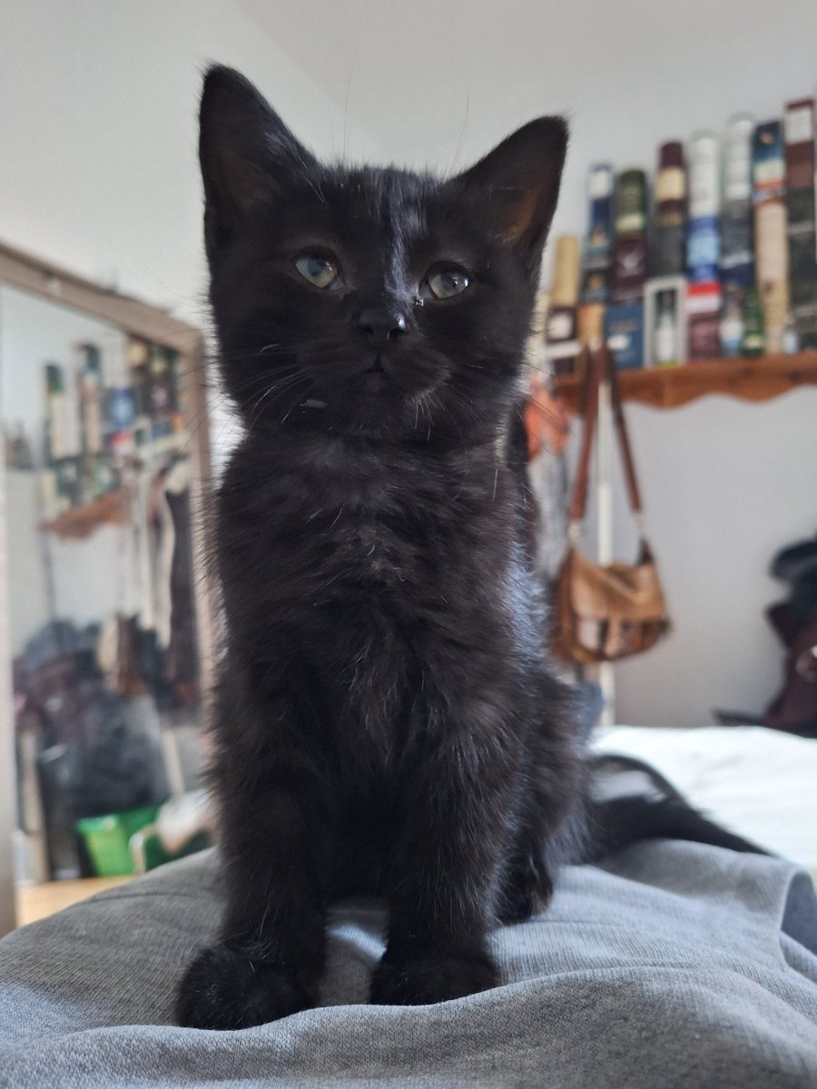 cbbirkett's tweet image. About time that twitter meets Maurice.