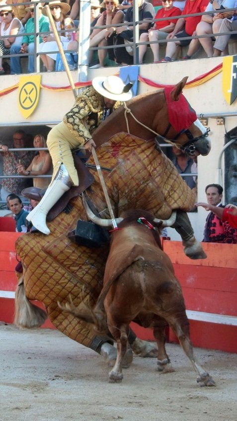 Ganadería Albaserrada tweet media