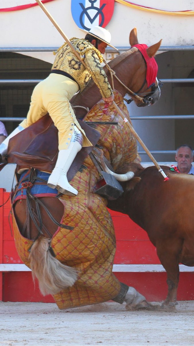 Ganadería Albaserrada tweet media