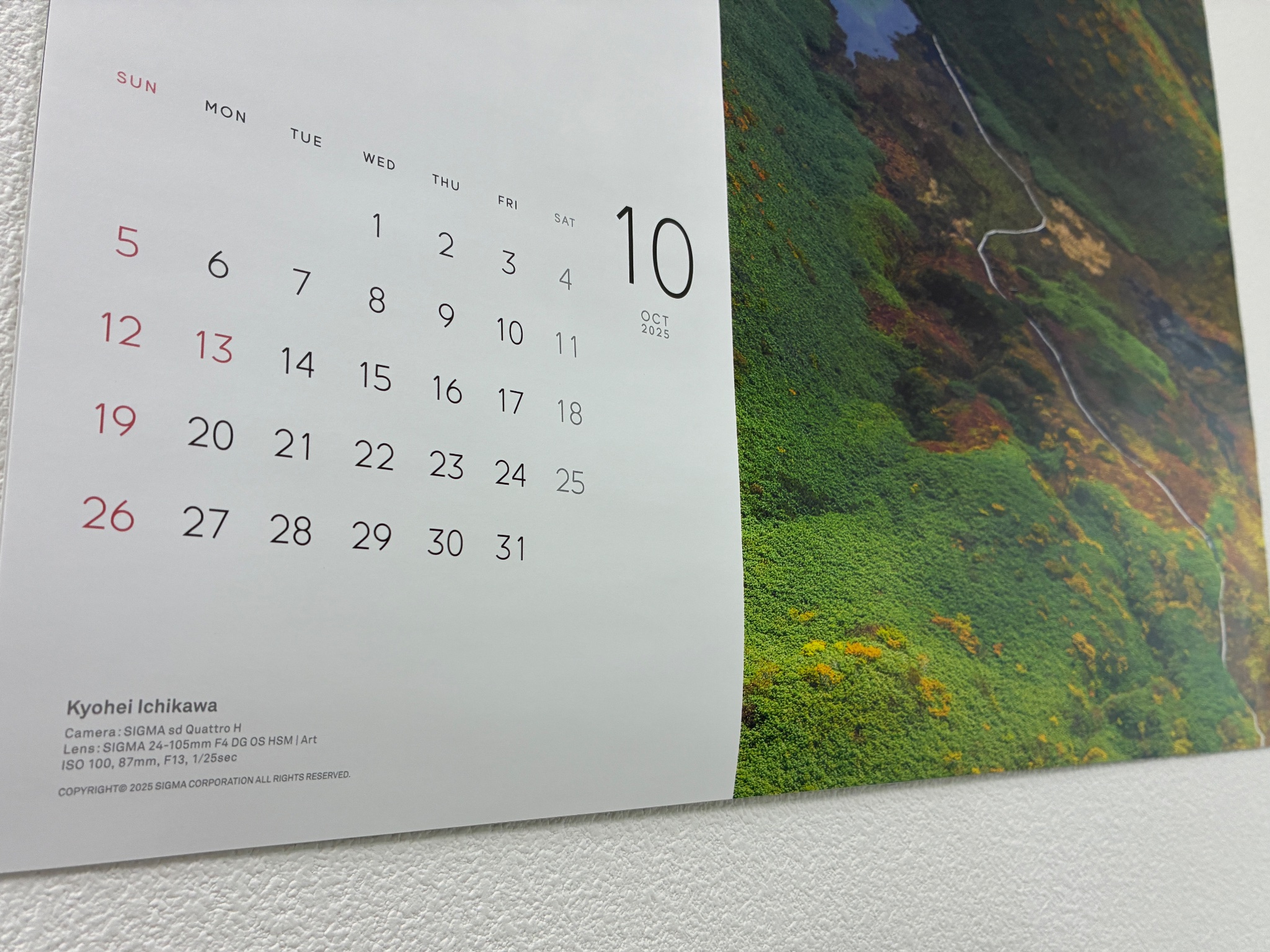 ピィーすけ様　御予約　他の方は御遠慮ください すみっコぐらし【公式】 on X: 