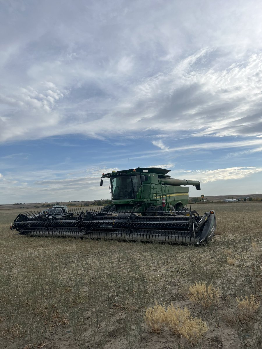 And… that’s a wrap! #harvest2025 started on July 28 and ended today! Glad to be done.