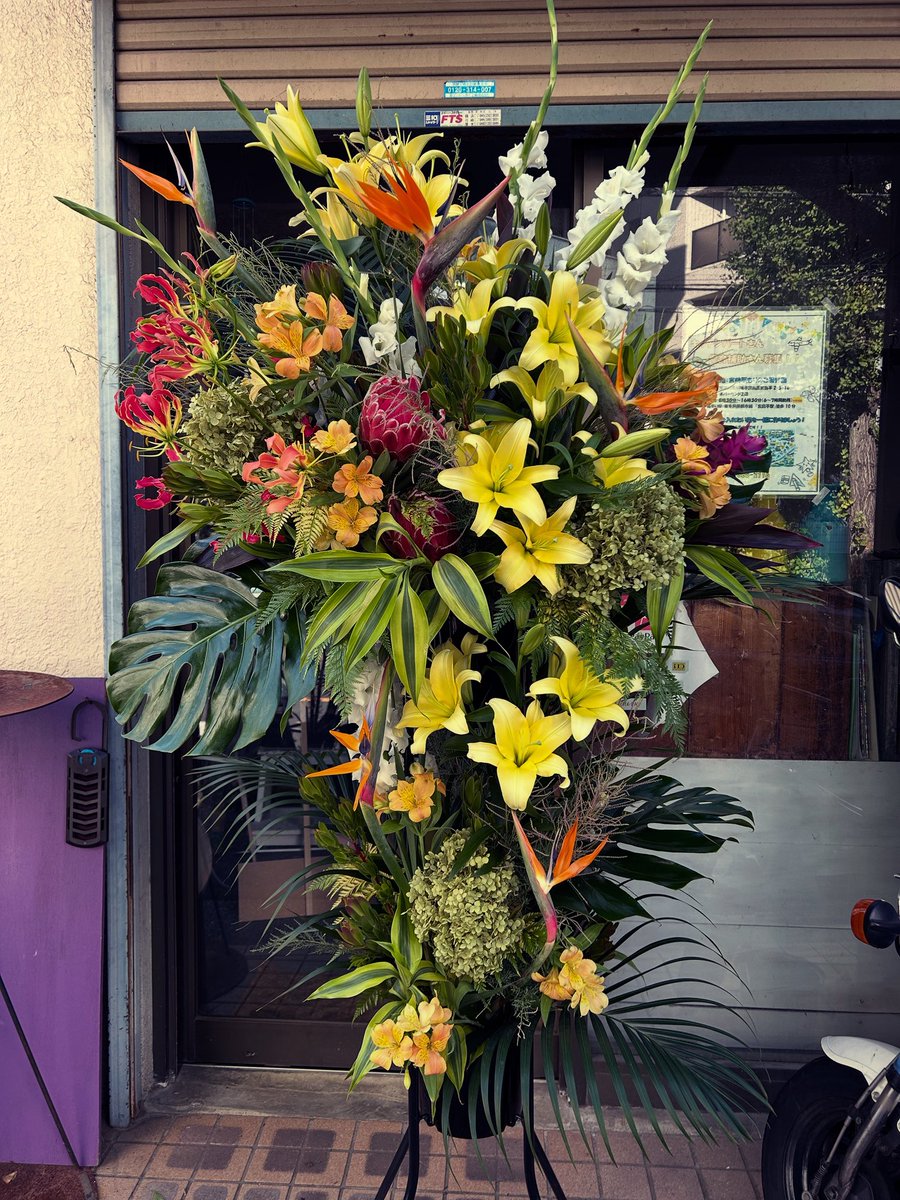 katohanashokudo's tweet photo. お祝いスタンドのお届けでした！

#お祝い花 #スタンド #加藤花飾堂#宮前平花屋 #デザイン #カトハナ

https://t.co/GUeuQqDixi https://t.co/tlU81kM7Ue