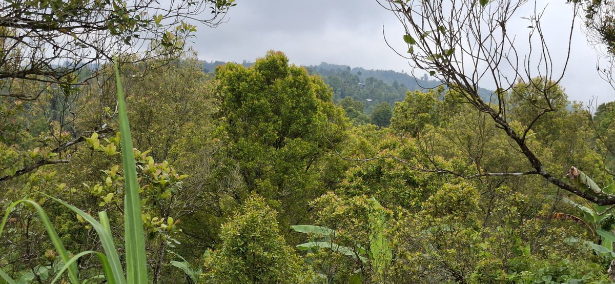 Marc Jacobs tweet media