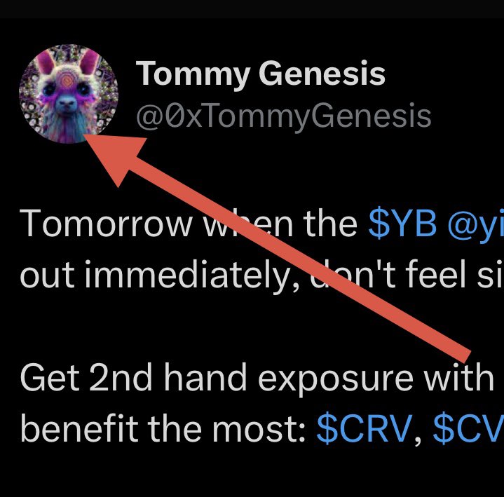 Pims The Batllama 🦇🦙 (e/diot) tweet media