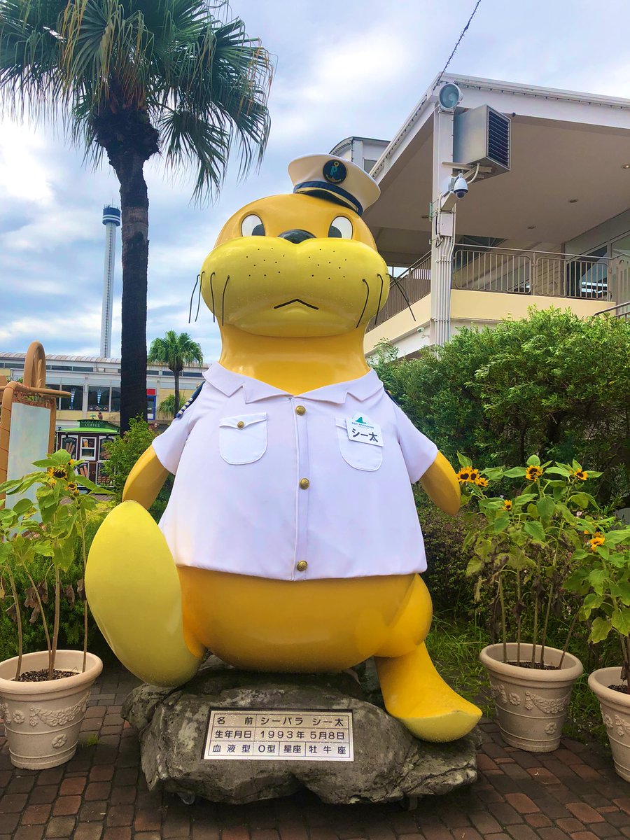 こいつ下から撮っても全然
スタイル良くならん