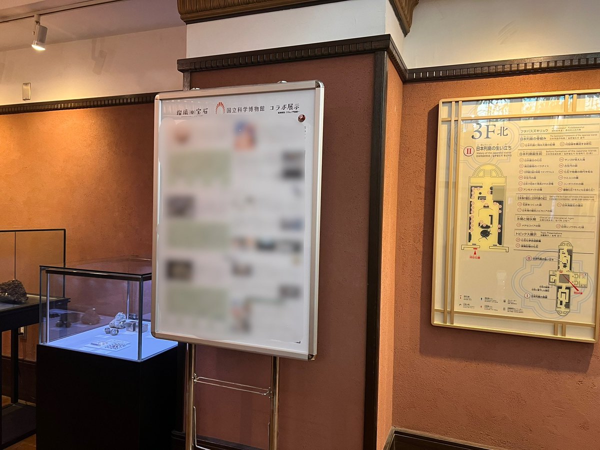 🪨🔨

💎TVアニメ「瑠璃の宝石」💎
 　　　         ×
   🏛️ #国立科学博物館🏛️
       ミニコラボ展示開始！
　　　　　　　　　　　　🗺🔬

イッテ鉱！にも出演してくださった
門馬先生の解説、コラム付きパネルを
日本館3階にて展示中✨

是非お越ください！

#瑠璃の宝石