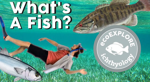 Mintpod611's tweet image. Live now

Let’s win today!

Kick.com/mintpod2