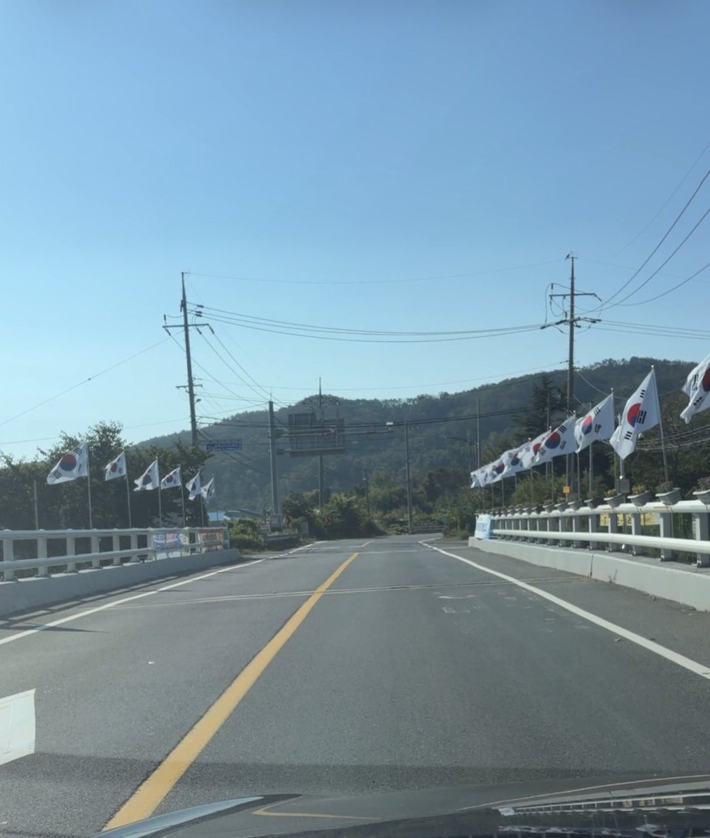 ADOGEN_ado's tweet photo. 난세 위기에 태극기가 새삼 아름답다.
태극기만 나열 된게 군더더기 없이 깨끗하다. 

마음이 무거워지면서, 가슴이 웅장해진다.

곧, 어느순간 보기 힘들어 질 것 같다는
생각이 든다. https://t.co/XKYIRAvrb4