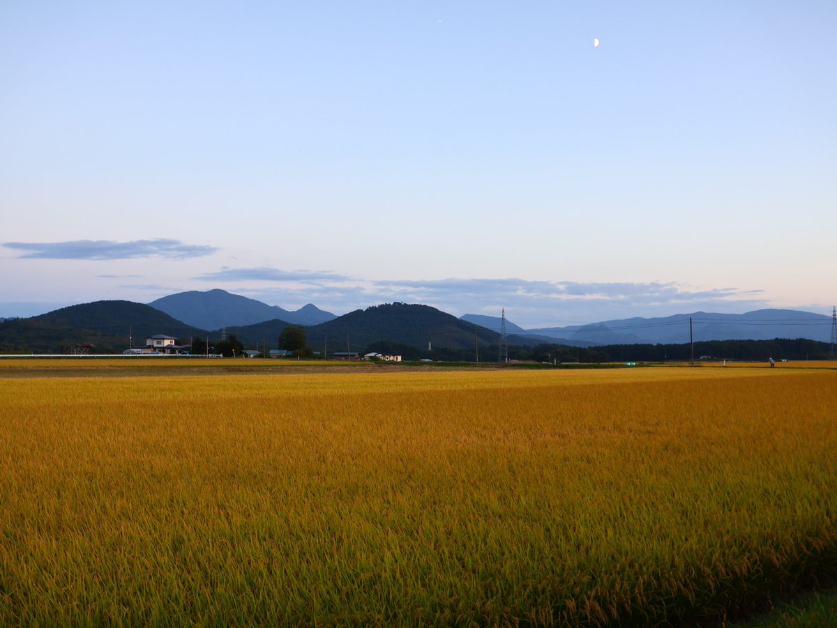 ゆこたんの森【岩手 雫石 南網張ありね 温泉
