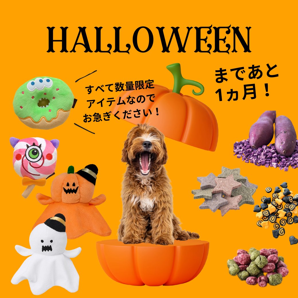 greendog_com's tweet photo. おはようございます🐶🐱
今日から10月、朝晩と日中の気温差が激しいですが体調には気を付けてお過ごしください。

GREEN DOG &amp; CATでは今年もハロウィンを楽しむアイテムをご用意しています。

すべて数量限定なのでお早めに👻

#ハロウィン https://t.co/6EAEMx9Wrx