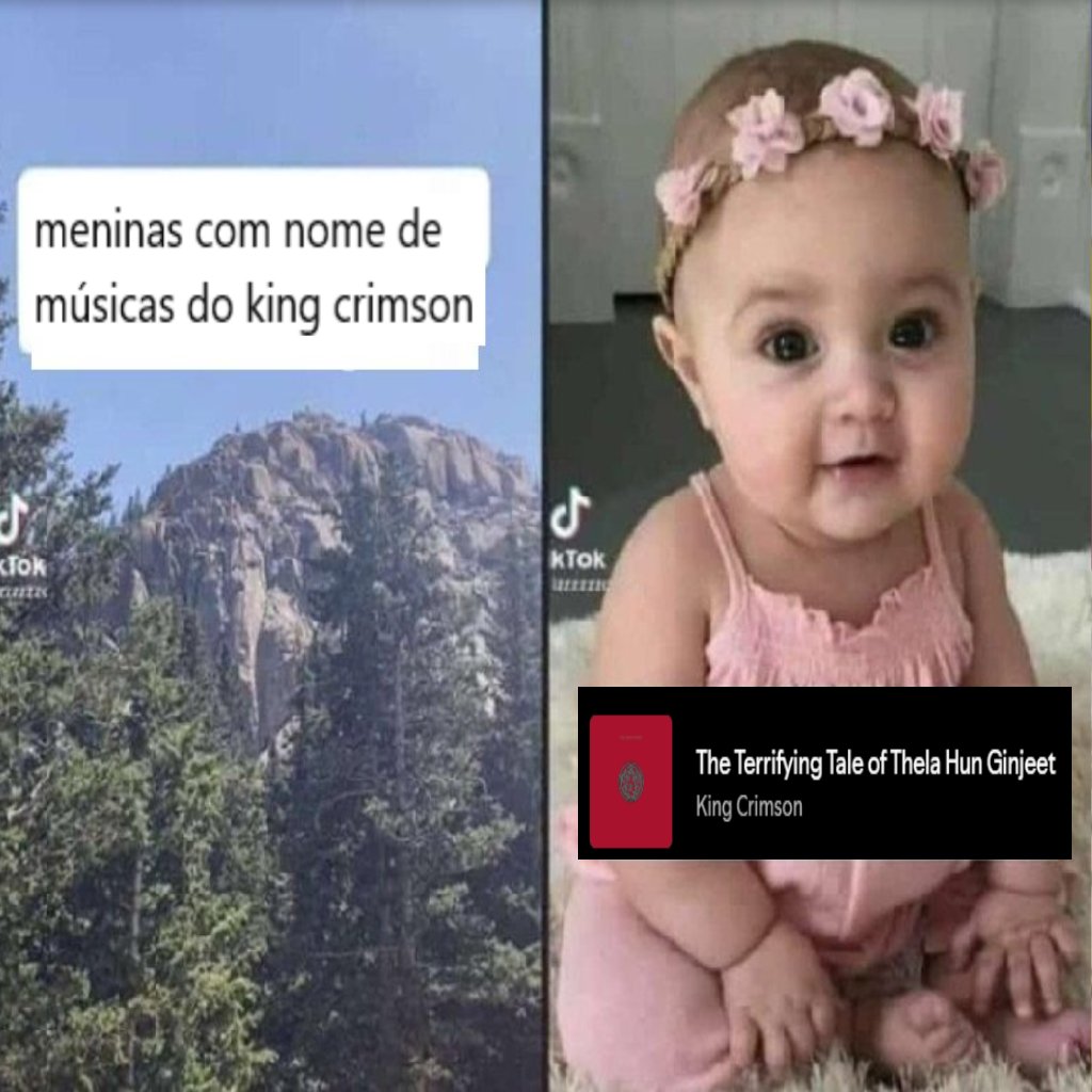 Progeiras Gostosas (@proggostosas) on Twitter photo 