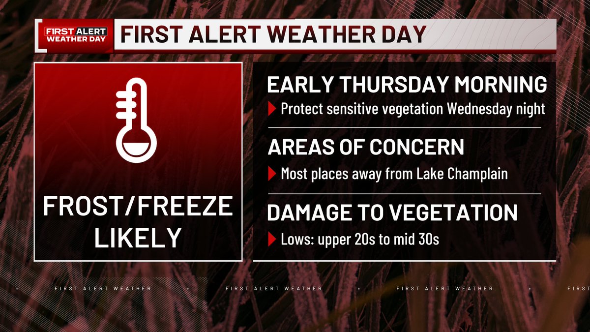 Peter Kvietkauskas tweet media