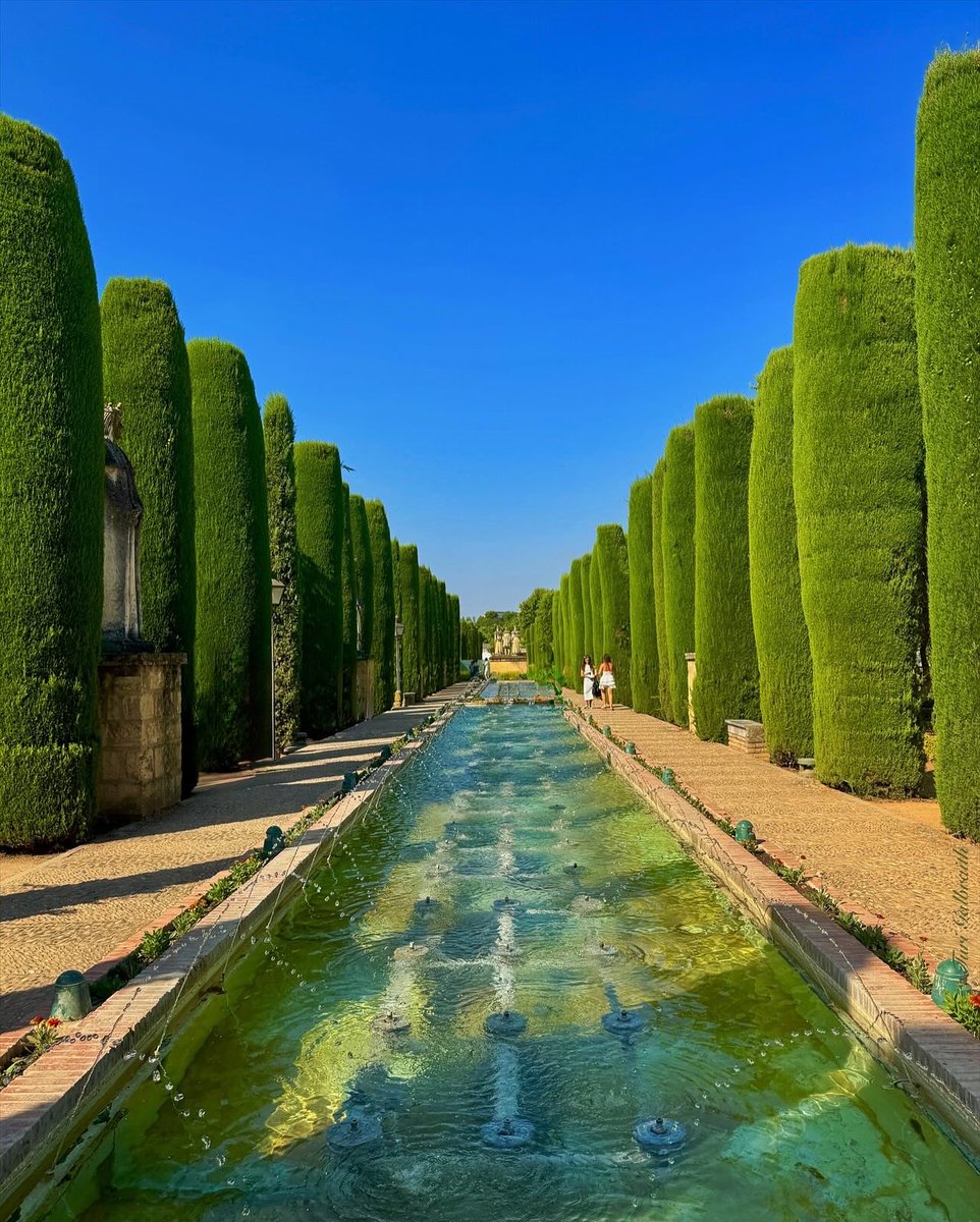 Turi Galbraith tweet media