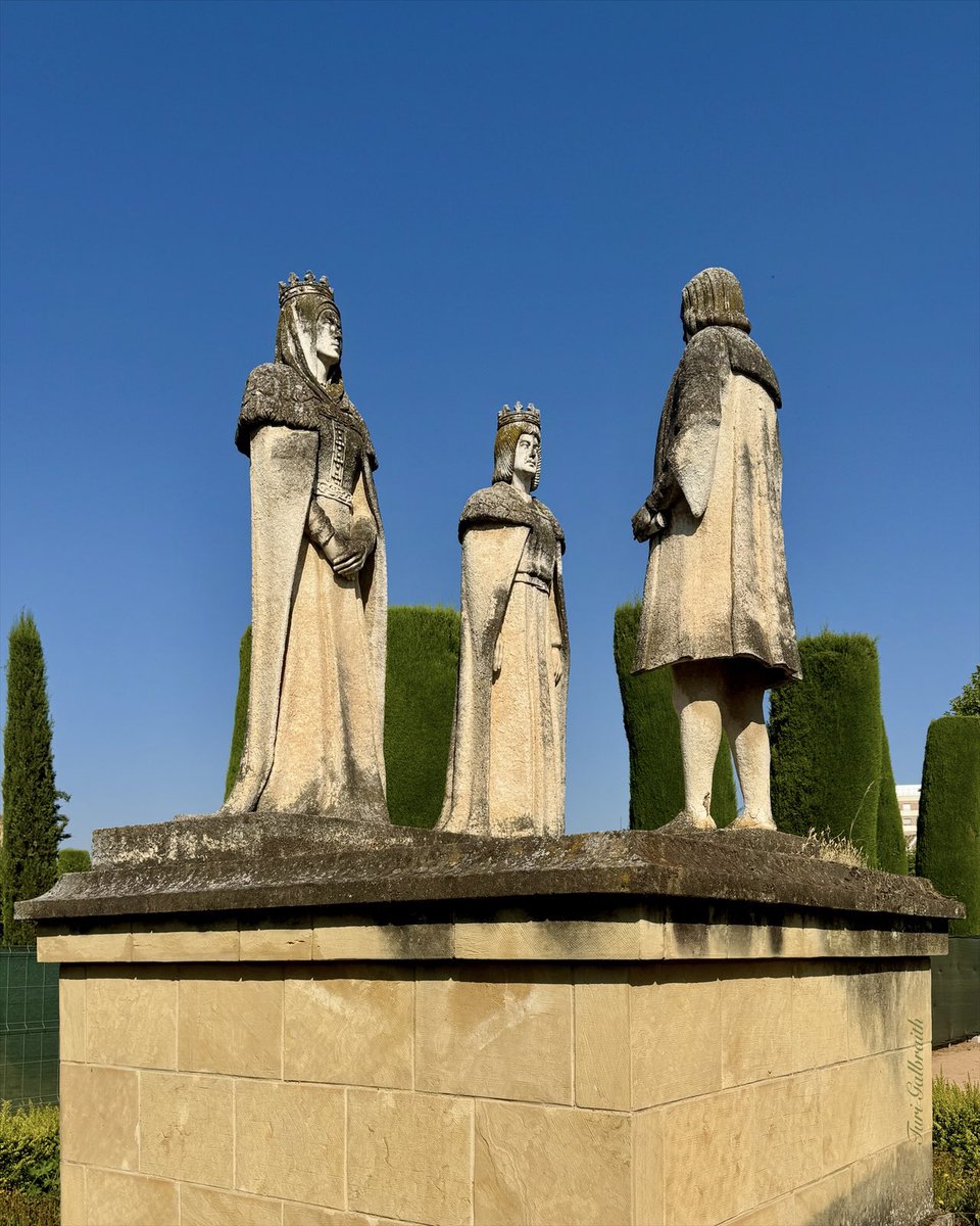 Turi Galbraith tweet media