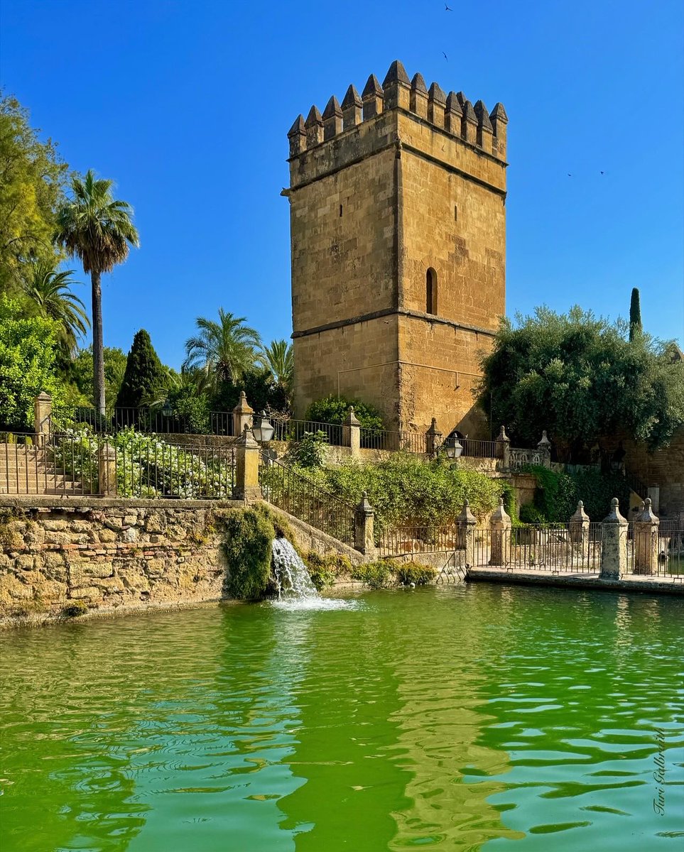 Turi Galbraith tweet media