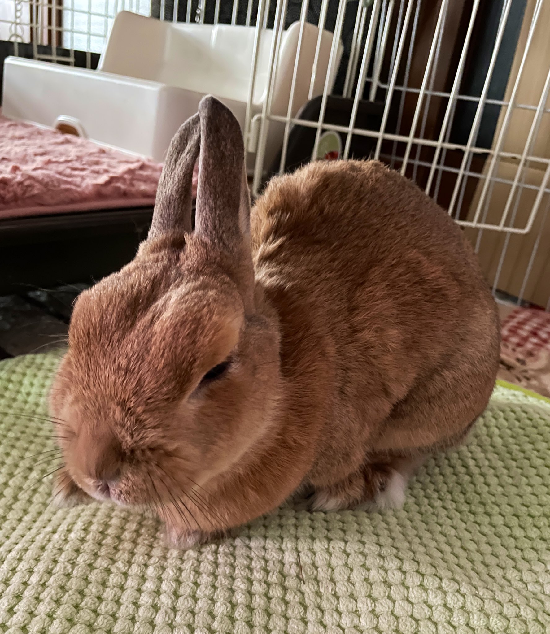 庄司七@SCG2巻発売中 (@shoji_7) / X