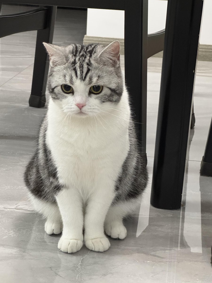 今日もかわいい。