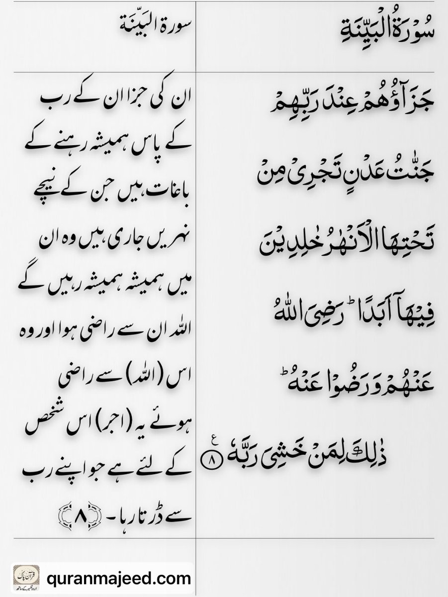 آمنہ ملک ❤️🇵🇰 tweet media