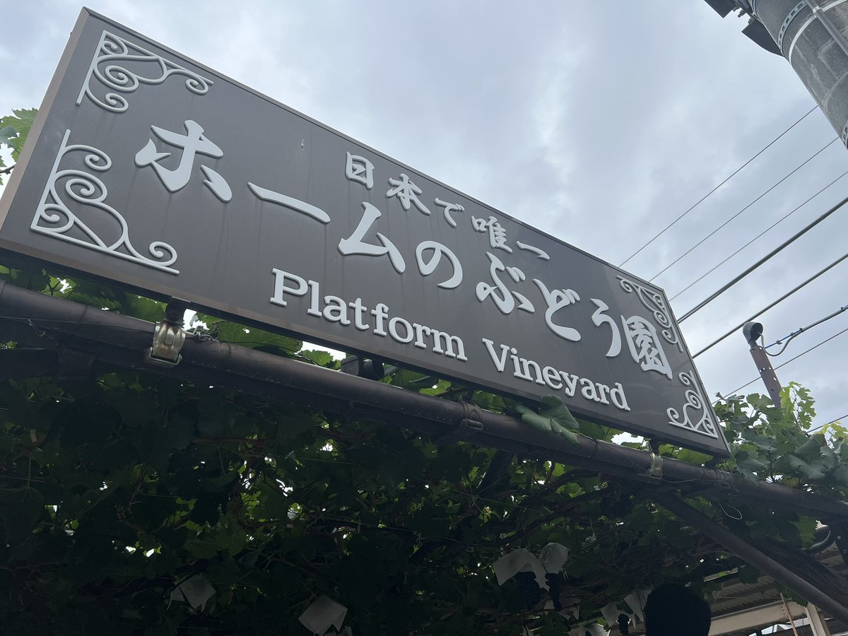 塩尻市観光情報〈公式〉 tweet media