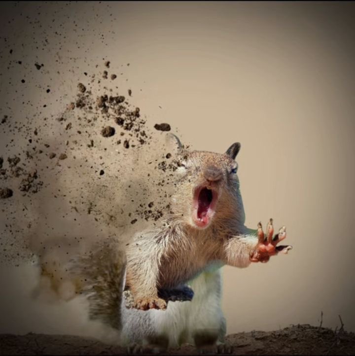 근데 정신병이 너무 오래지속되니까
이제는 내가 정신병 같고 정신병이 나 같아서
약먹으면 사라질까봐 무서움