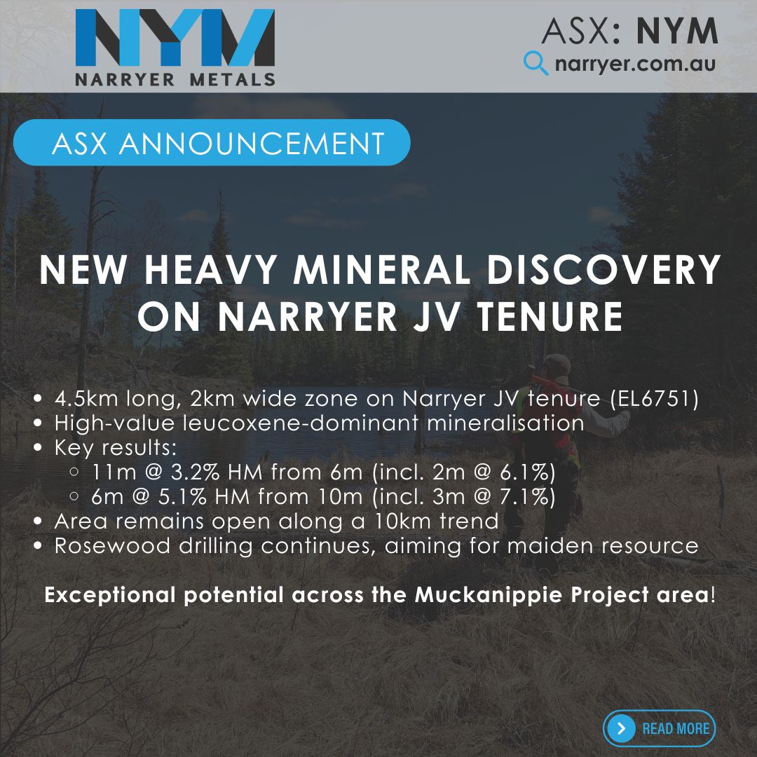 Narryer Metals (ASX: $NYM) tweet media