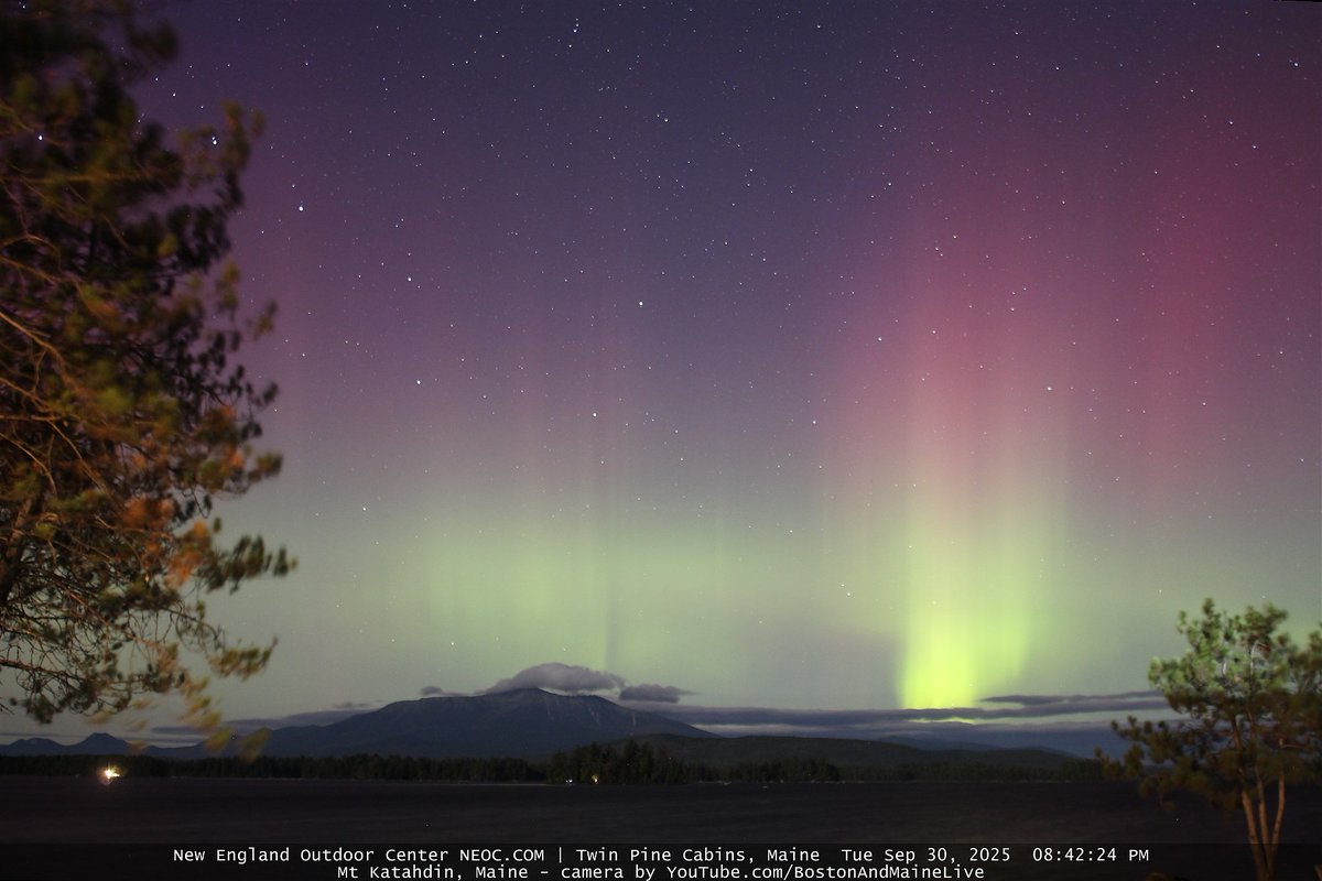 Jure Atanackov tweet media