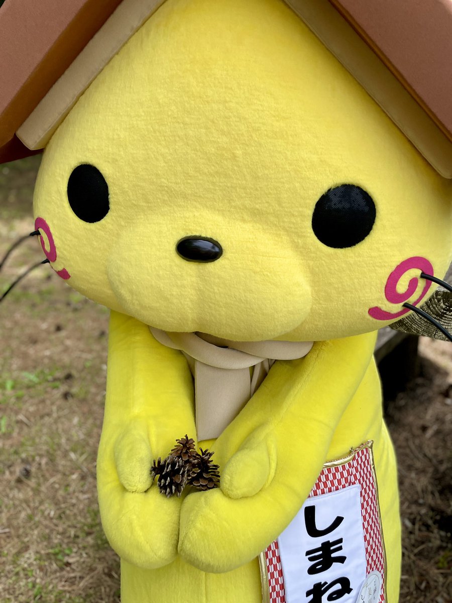 おはにゃう！ おさんぽのおみやげにゃ🐾✨ 1つどうぞにゃ(⸝ * ॑