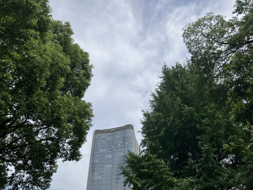 おはようございます！RD LINKです。
銀座は雨☂️

10月のスタート🌿
今年もあと3ヶ月で終わると思うと
時の流れの早さを感じますね。

10/1は「衣替えの日」ですが、
まだ半袖を手放せません..

今日も一日頑張りましょう🌿
#企業公式が毎朝地元の天気を言い合う
#企業公式が朝の挨拶を言い合う