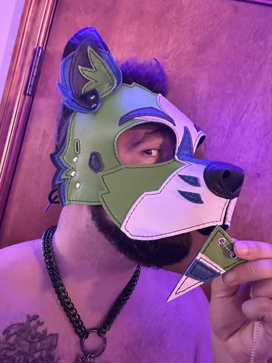 PupBrewer's tweet photo. New face from @ScrapYardLthr https://t.co/BgGmj1pb5T