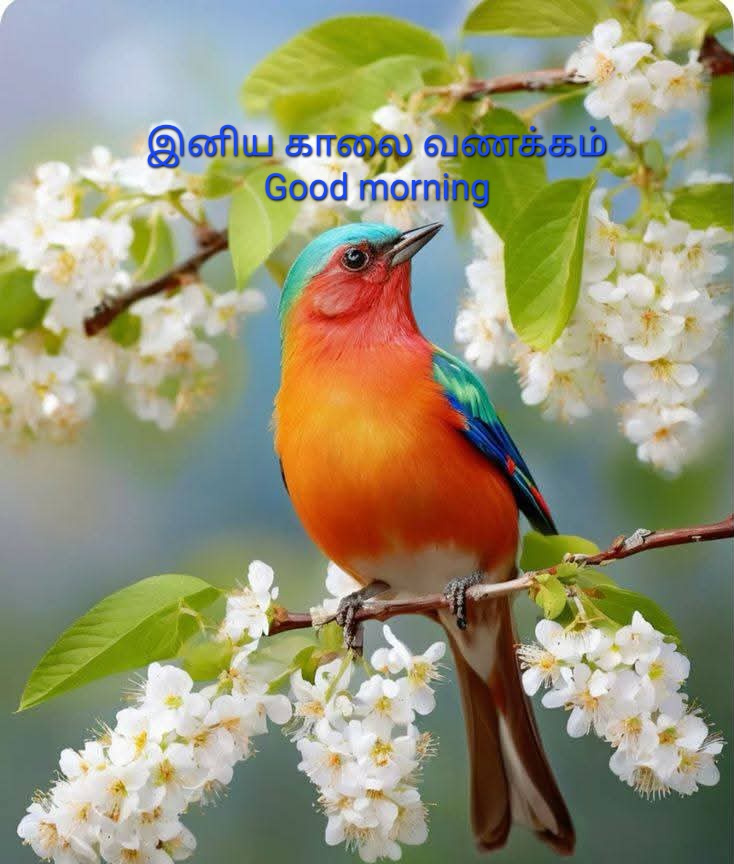 ssnesan tweet picture