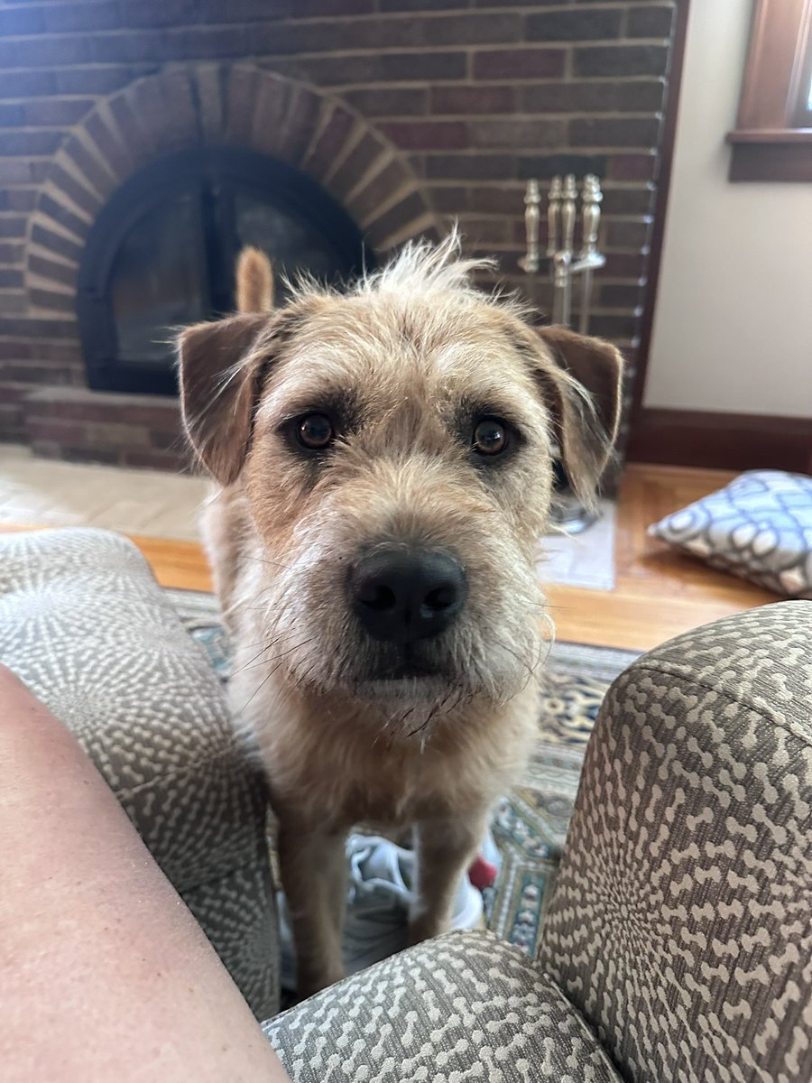 Dottie Gallagher tweet media