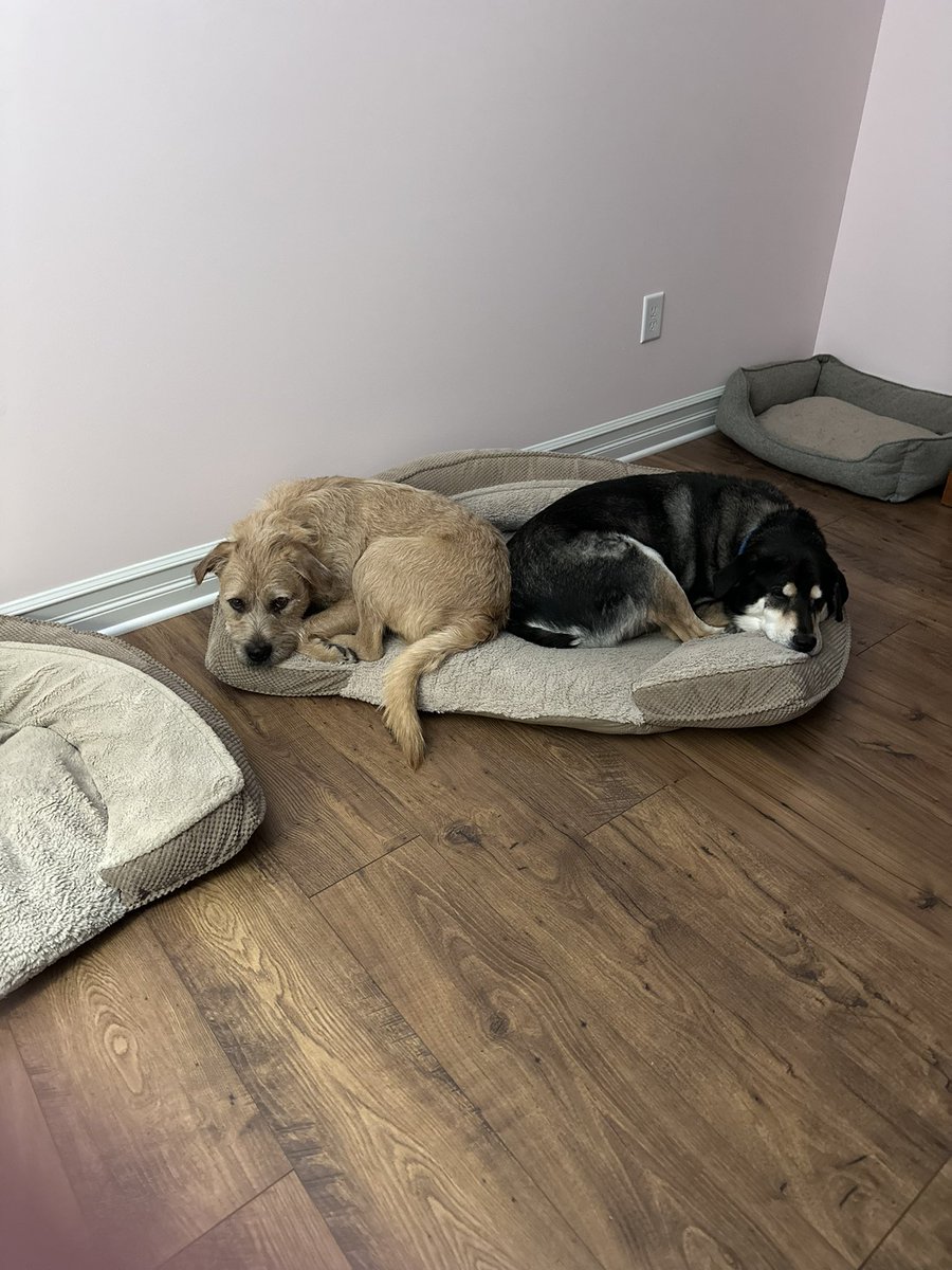 Dottie Gallagher tweet media