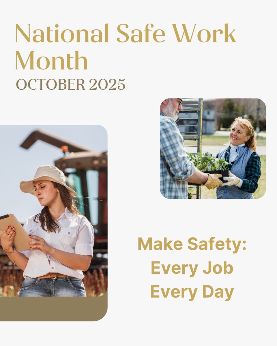 safeindustriesaustralia tweet media