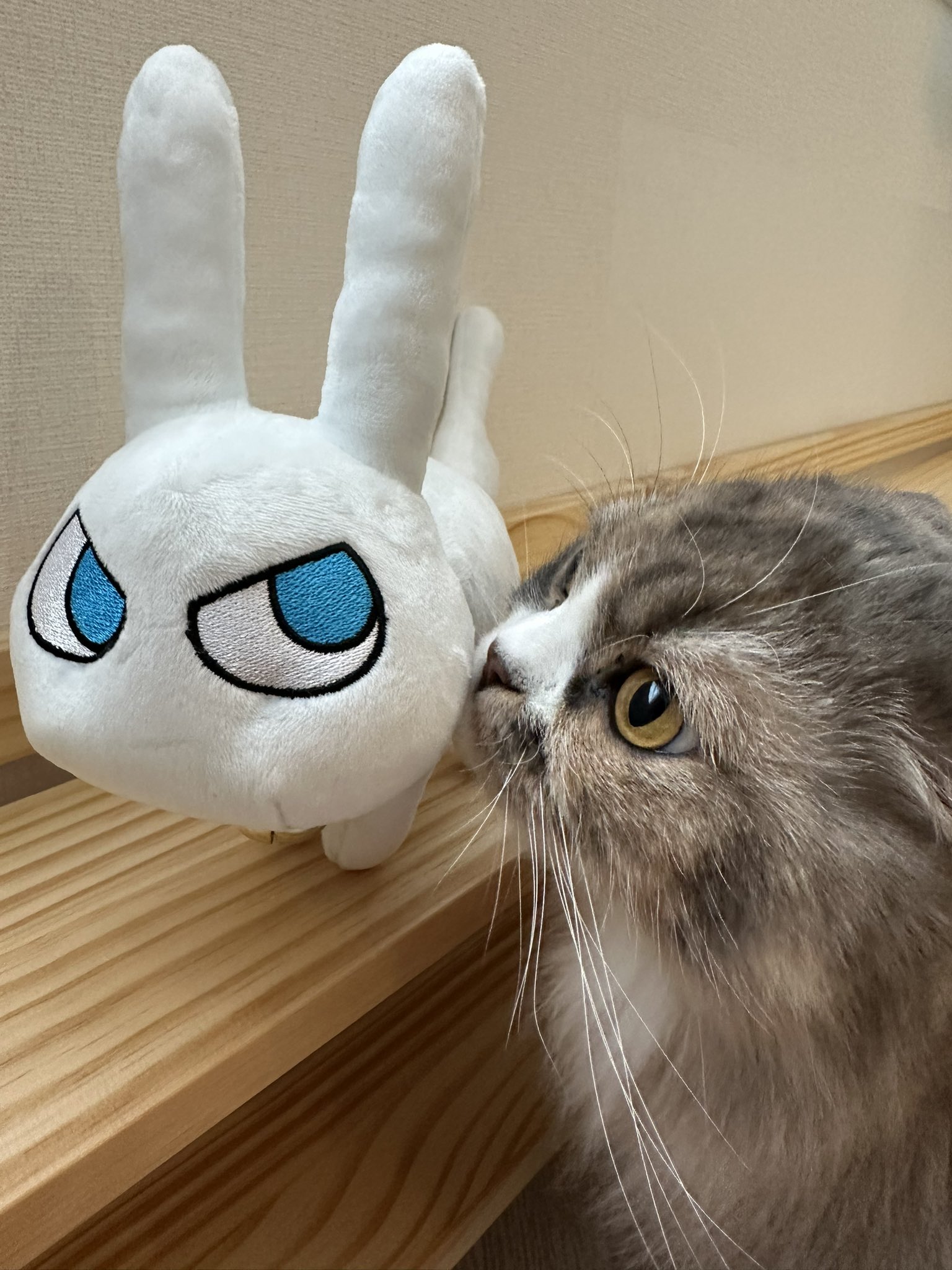 小松未可子 公式 on X: 