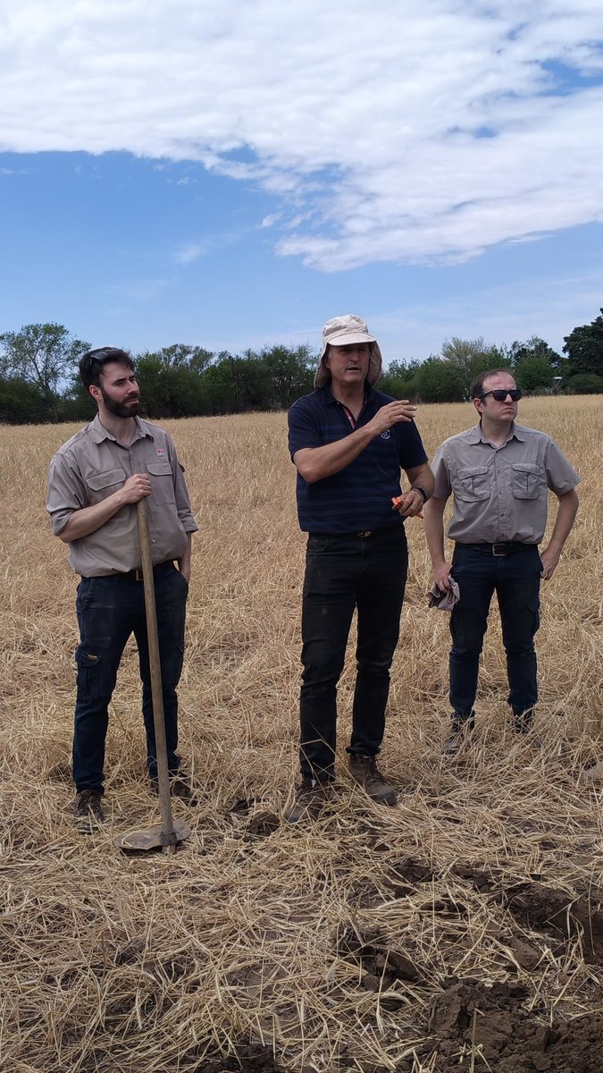 Ernesto Carreño tweet media