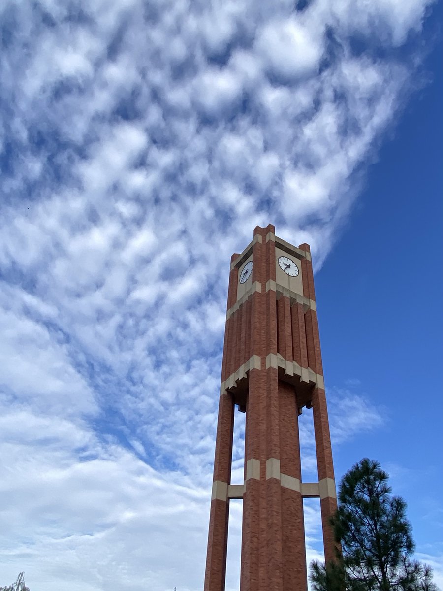 PalmeriJoAnn's tweet image. Clouds over the Bizz today #OUskywatch  #okwx #LibrariesFromTheOutside